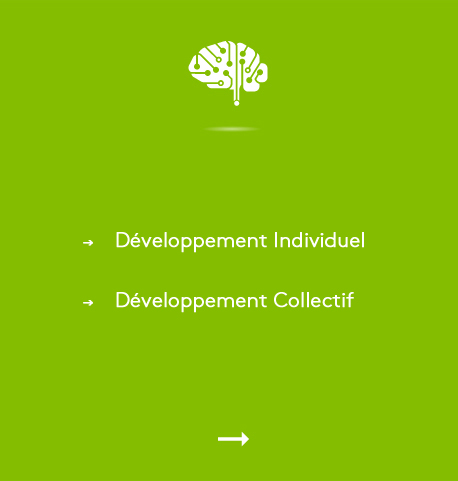 Formation - Management et cohésion d'équipe