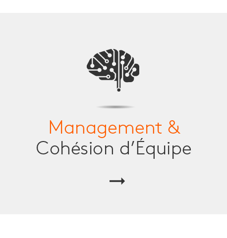 APCL Formation - Management et cohésion d'équipe