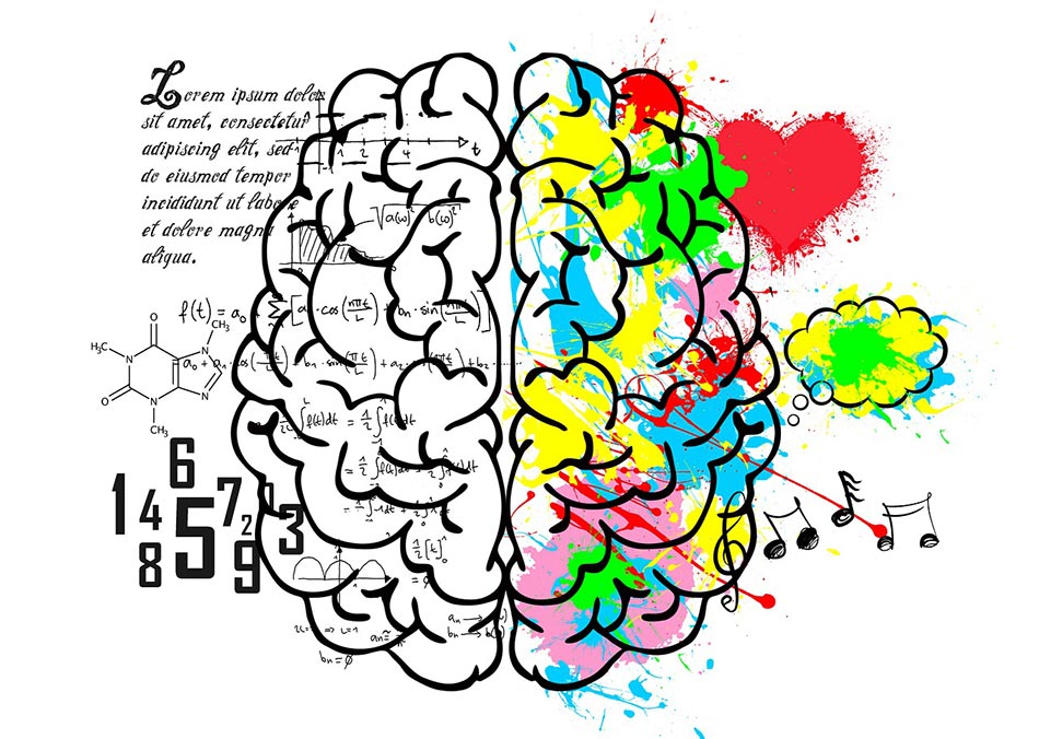 profil MBTI formation ANC